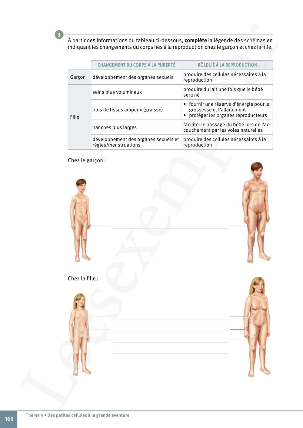 Preview: Explo Sciences 1 Livre de l'élève (Pelckmans Portail inclus)