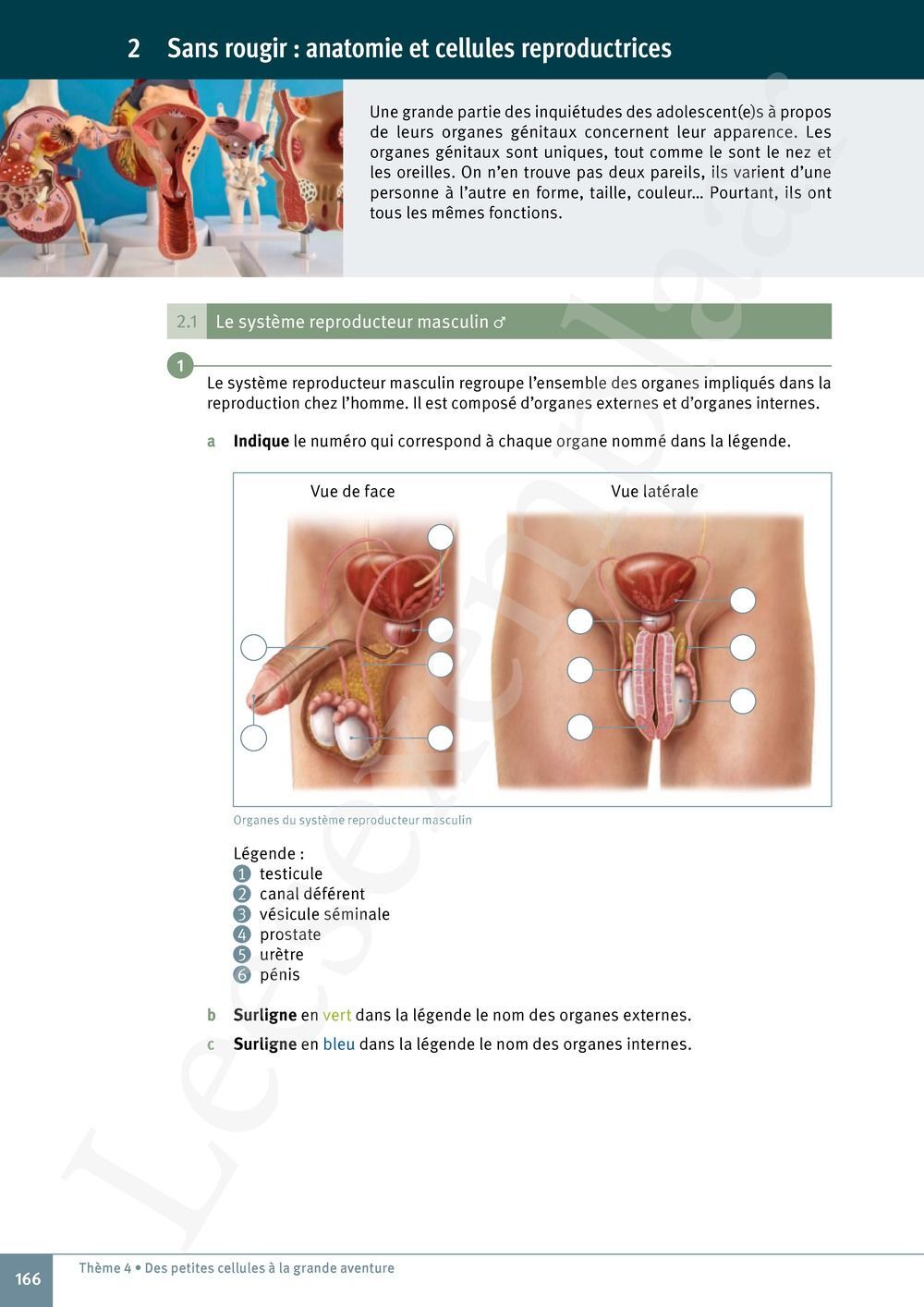 Preview: Explo Sciences 1 Livre de l'élève (Pelckmans Portail inclus)