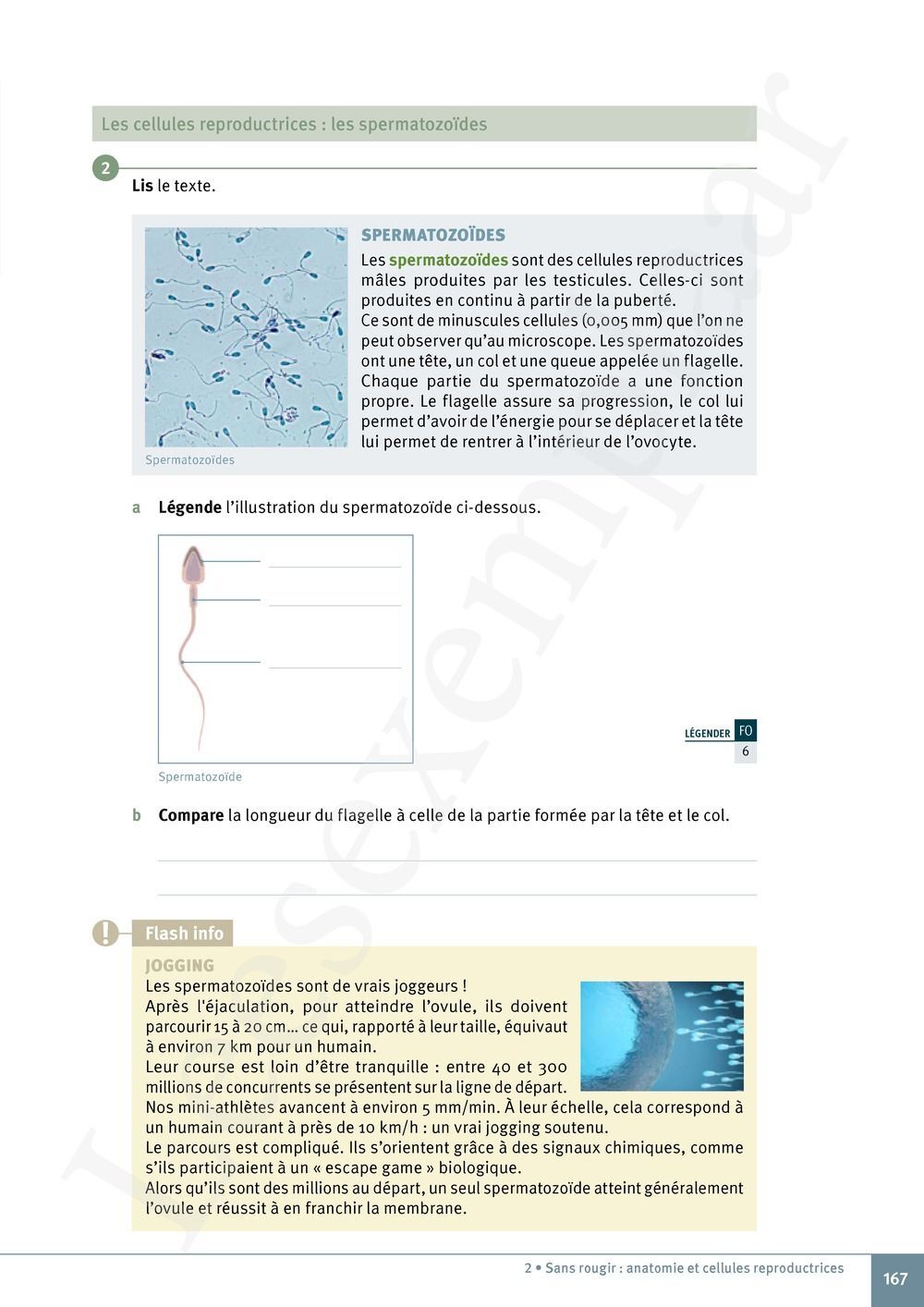 Preview: Explo Sciences 1 Livre de l'élève (Pelckmans Portail inclus)