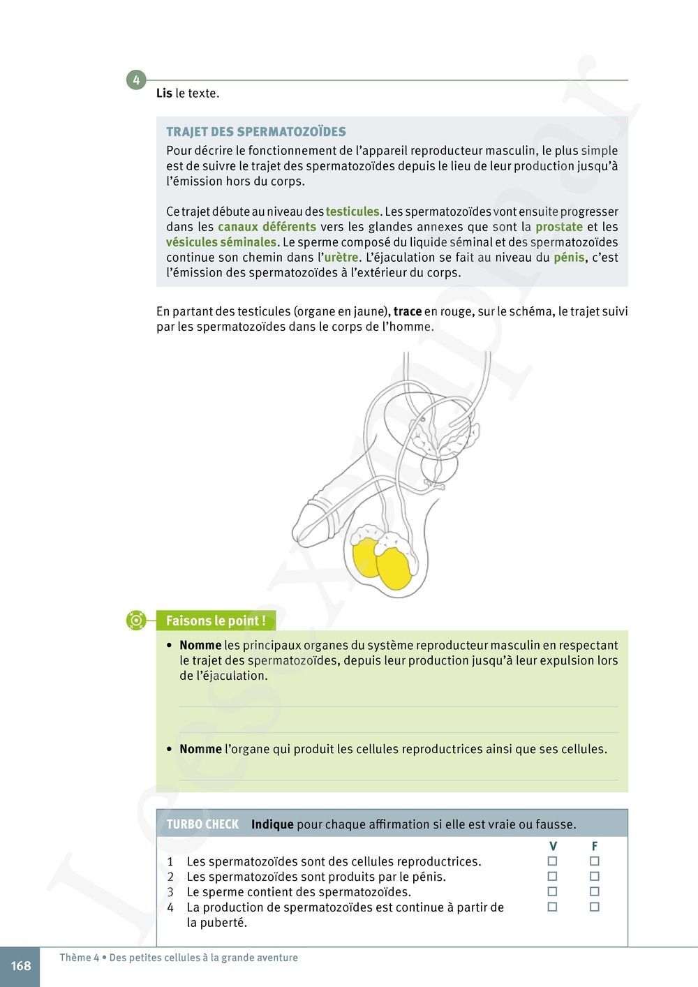 Preview: Explo Sciences 1 Livre de l'élève (Pelckmans Portail inclus)