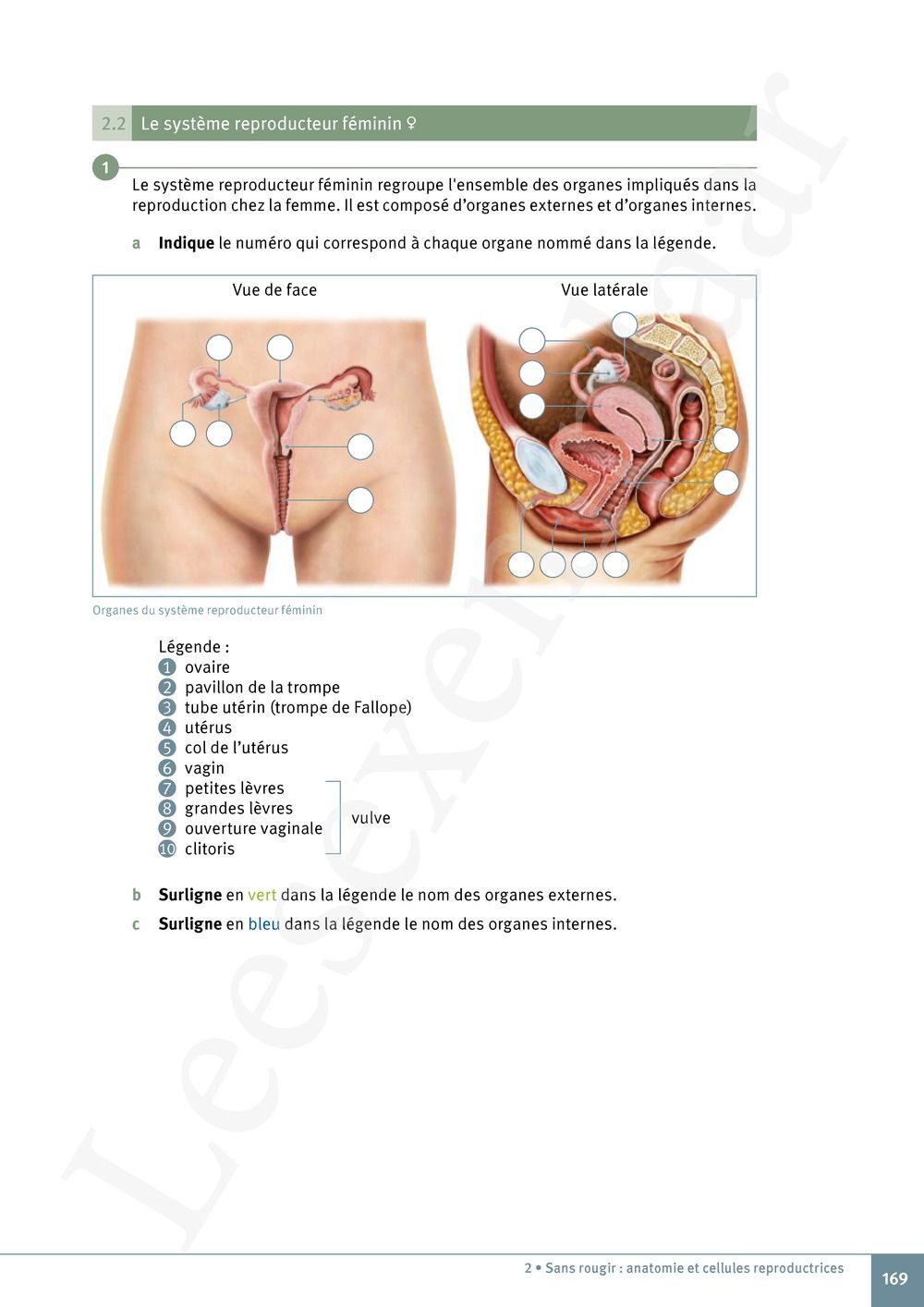 Preview: Explo Sciences 1 Livre de l'élève (Pelckmans Portail inclus)