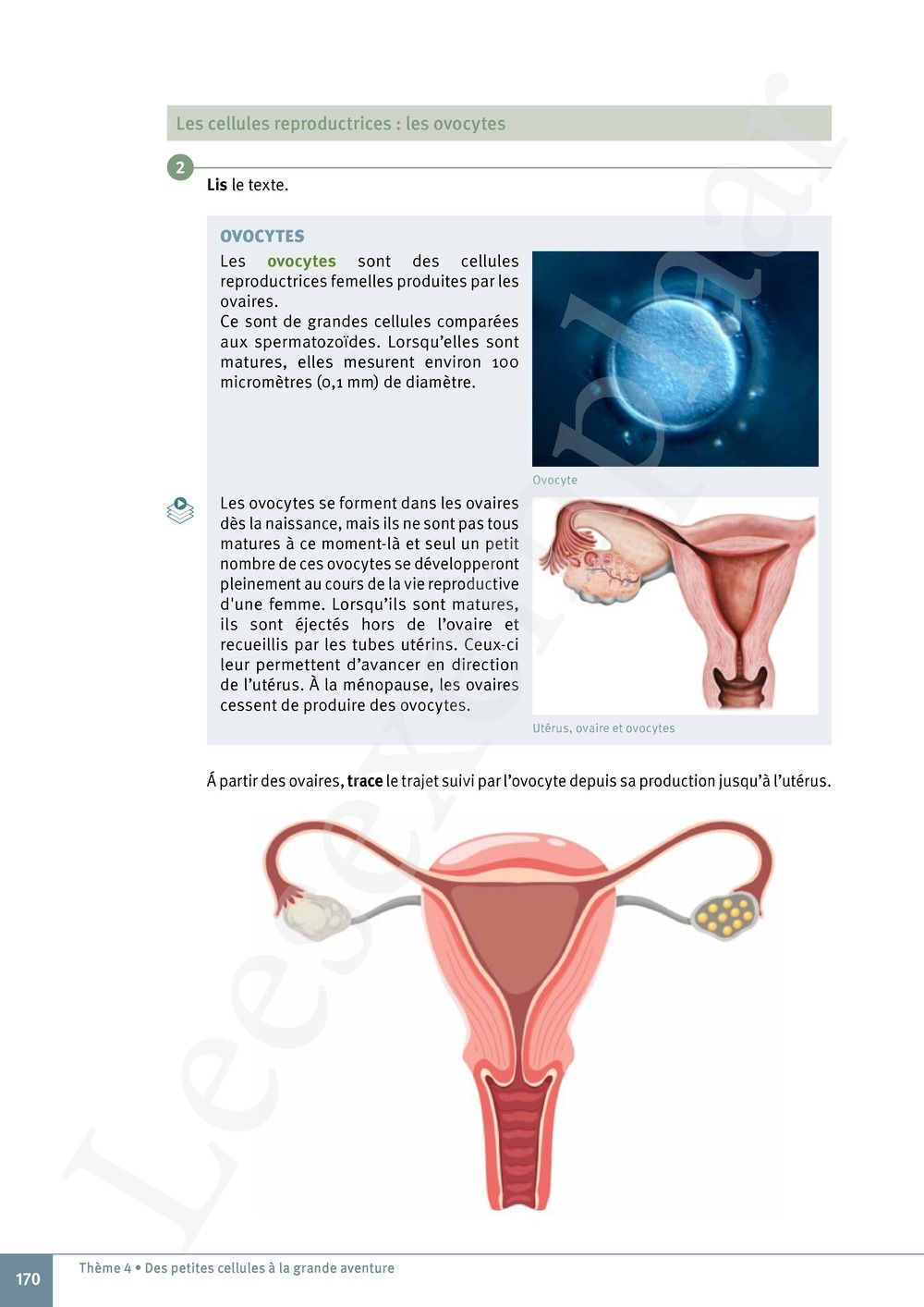 Preview: Explo Sciences 1 Livre de l'élève (Pelckmans Portail inclus)