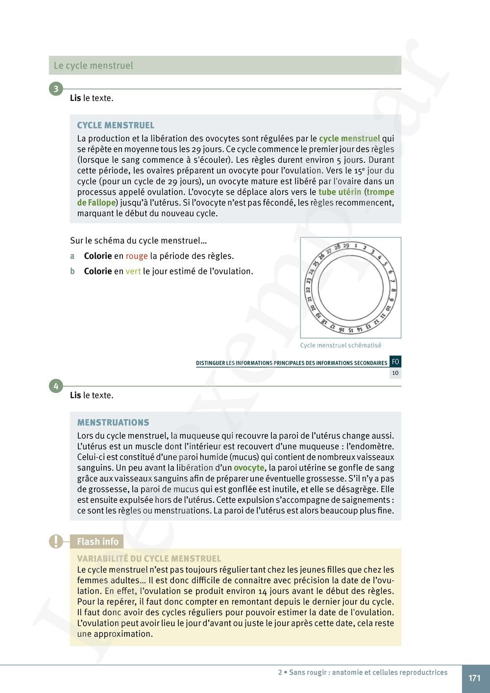 Preview: Explo Sciences 1 Livre de l'élève (Pelckmans Portail inclus)