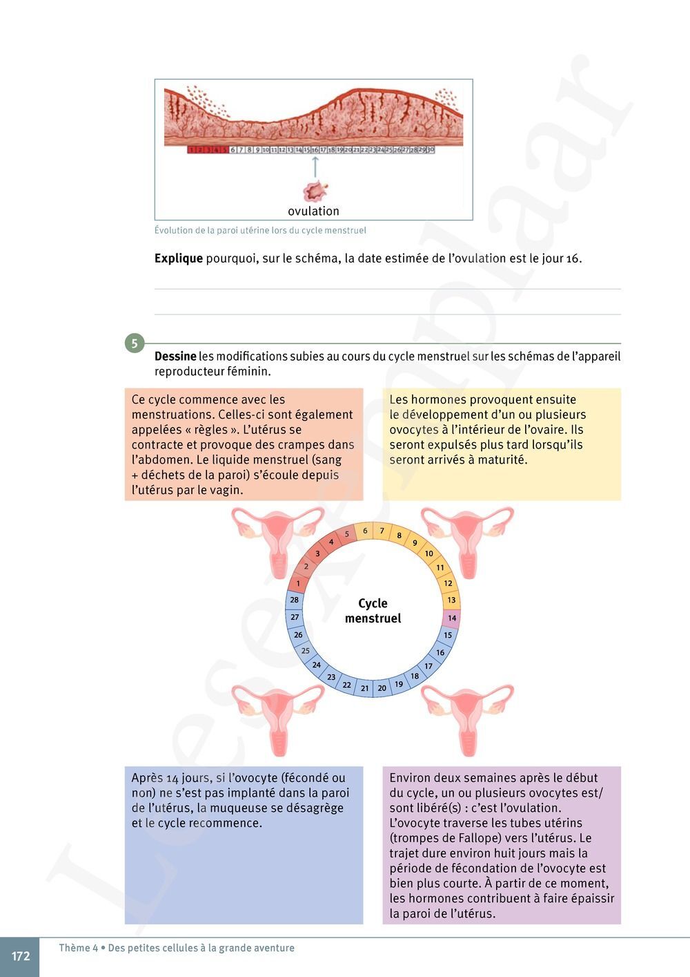 Preview: Explo Sciences 1 Livre de l'élève (Pelckmans Portail inclus)