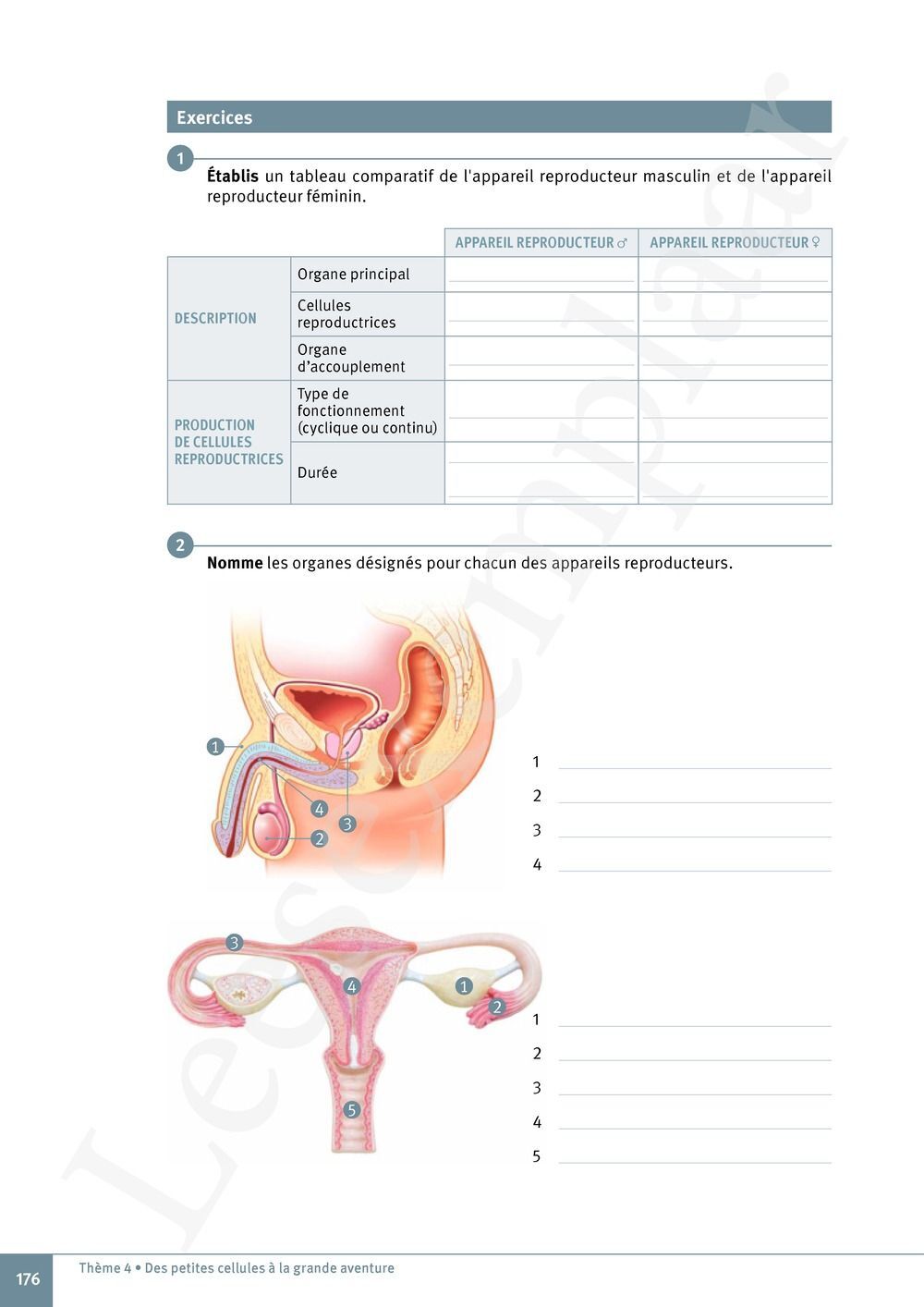 Preview: Explo Sciences 1 Livre de l'élève (Pelckmans Portail inclus)