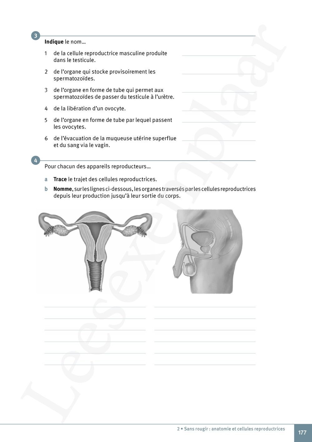 Preview: Explo Sciences 1 Livre de l'élève (Pelckmans Portail inclus)