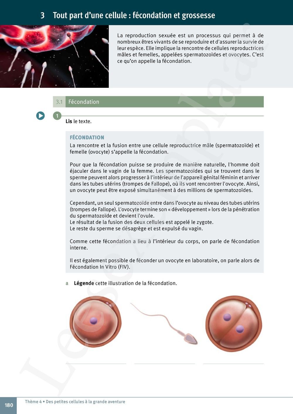 Preview: Explo Sciences 1 Livre de l'élève (Pelckmans Portail inclus)