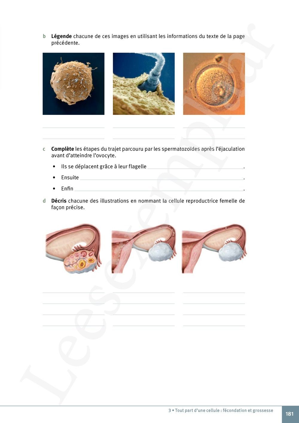 Preview: Explo Sciences 1 Livre de l'élève (Pelckmans Portail inclus)