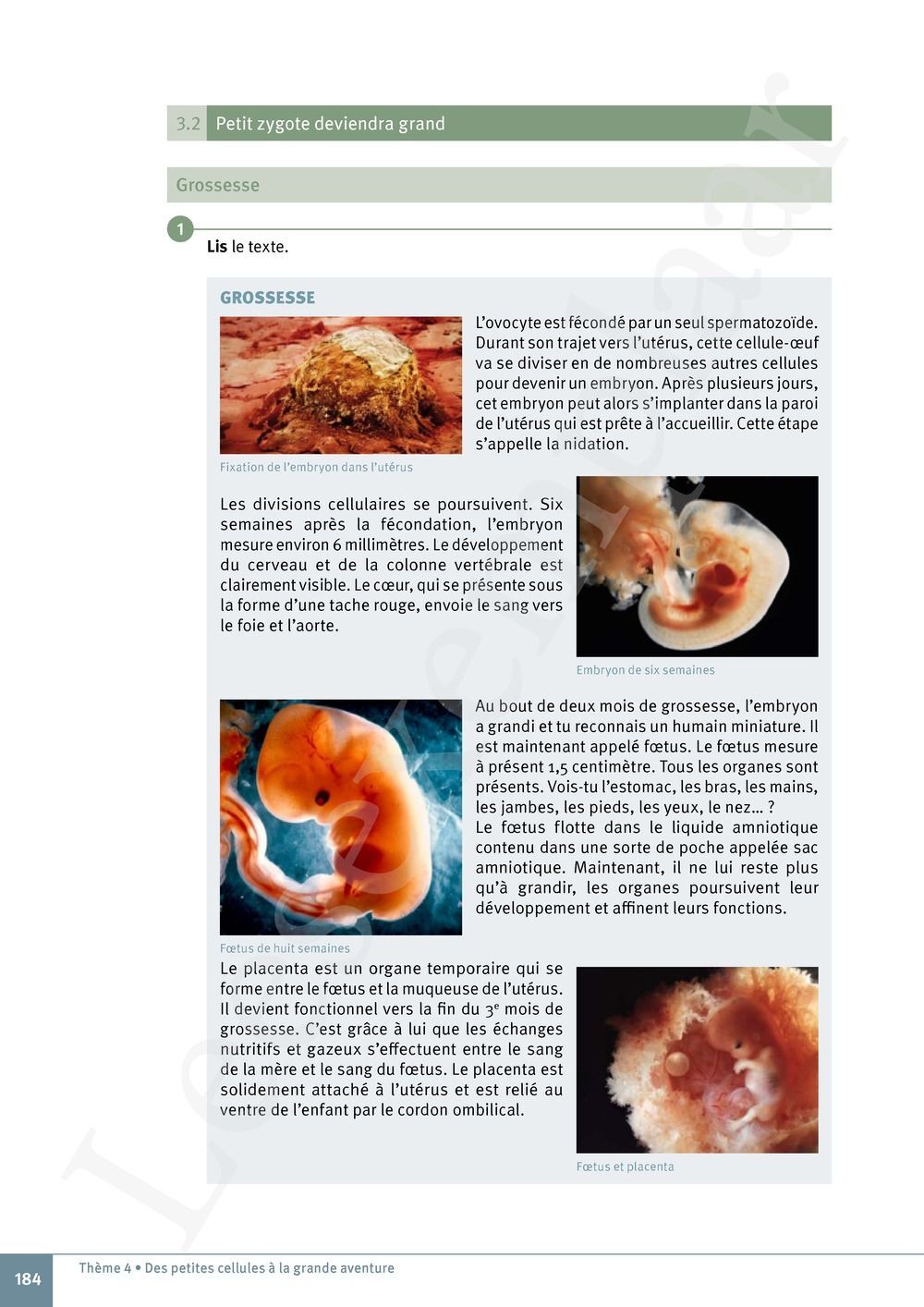 Preview: Explo Sciences 1 Livre de l'élève (Pelckmans Portail inclus)