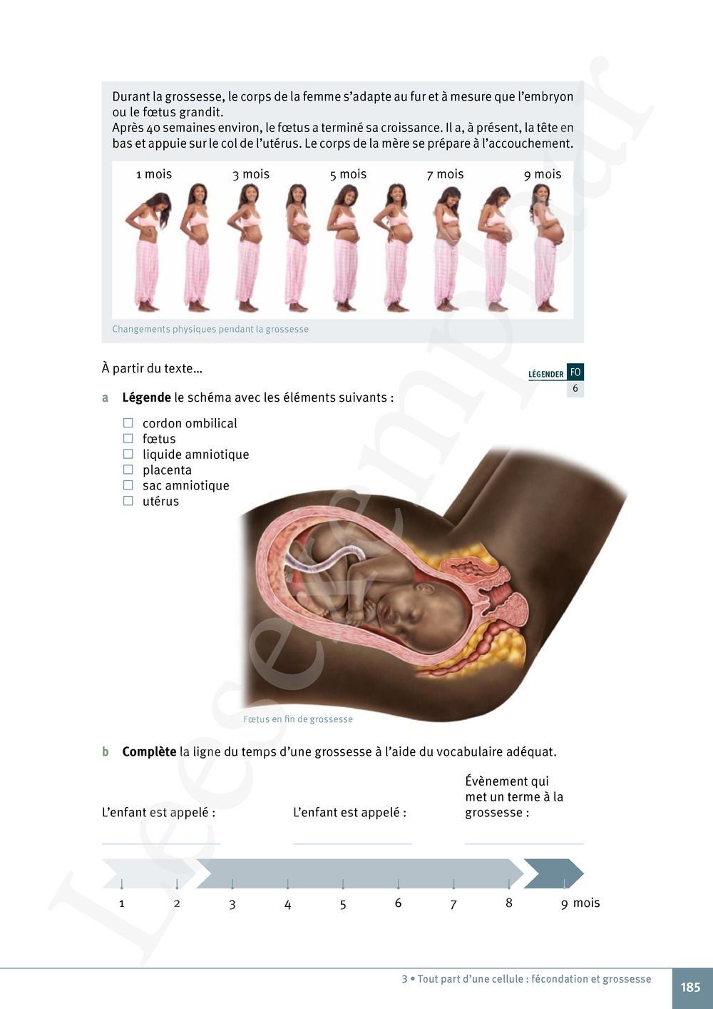 Preview: Explo Sciences 1 Livre de l'élève (Pelckmans Portail inclus)