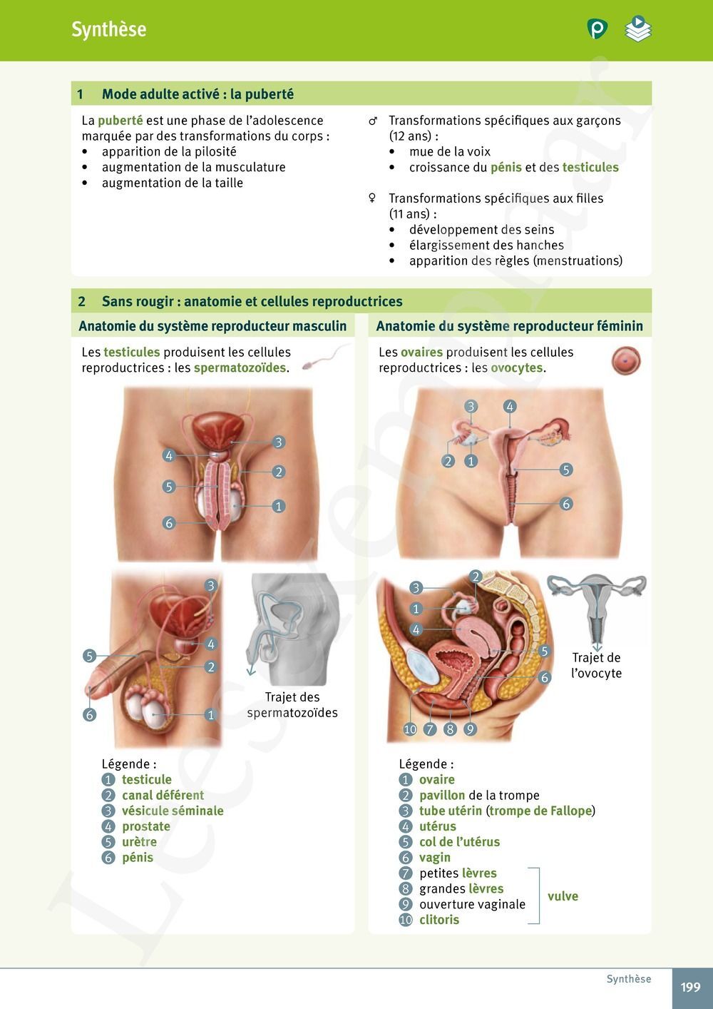 Preview: Explo Sciences 1 Livre de l'élève (Pelckmans Portail inclus)