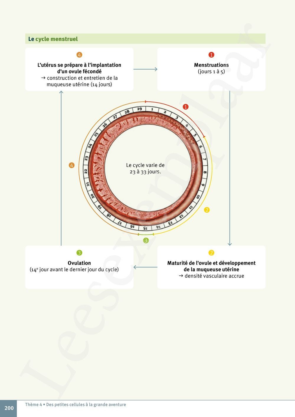 Preview: Explo Sciences 1 Livre de l'élève (Pelckmans Portail inclus)