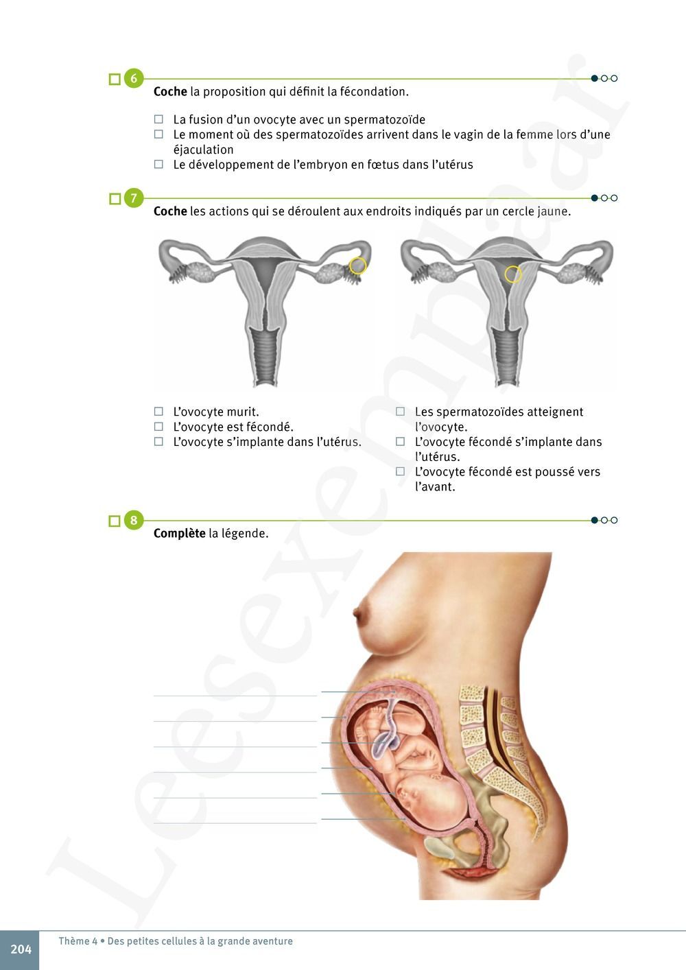 Preview: Explo Sciences 1 Livre de l'élève (Pelckmans Portail inclus)