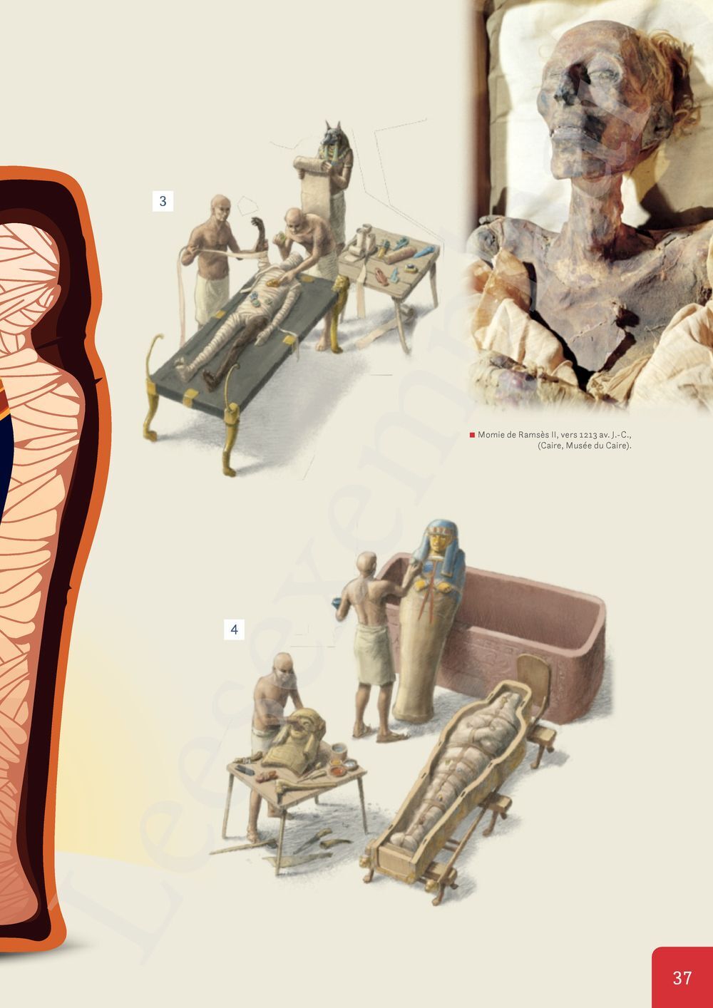 Preview: Nomade 1 FHGES Manuel (Pelckmans Portail inclus)