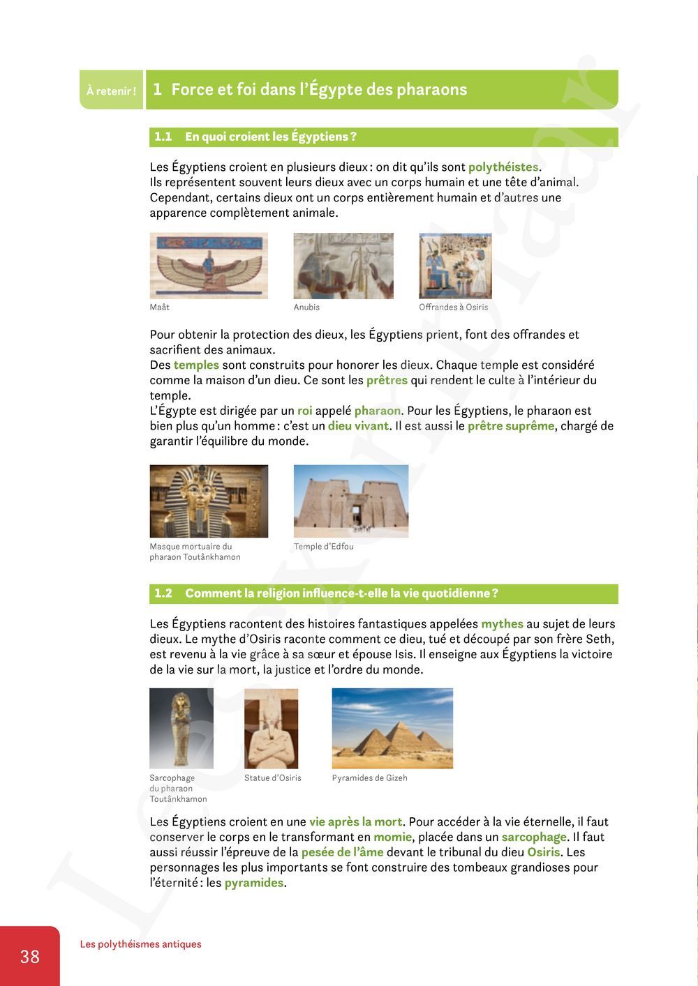 Preview: Nomade 1 FHGES Manuel (Pelckmans Portail inclus)