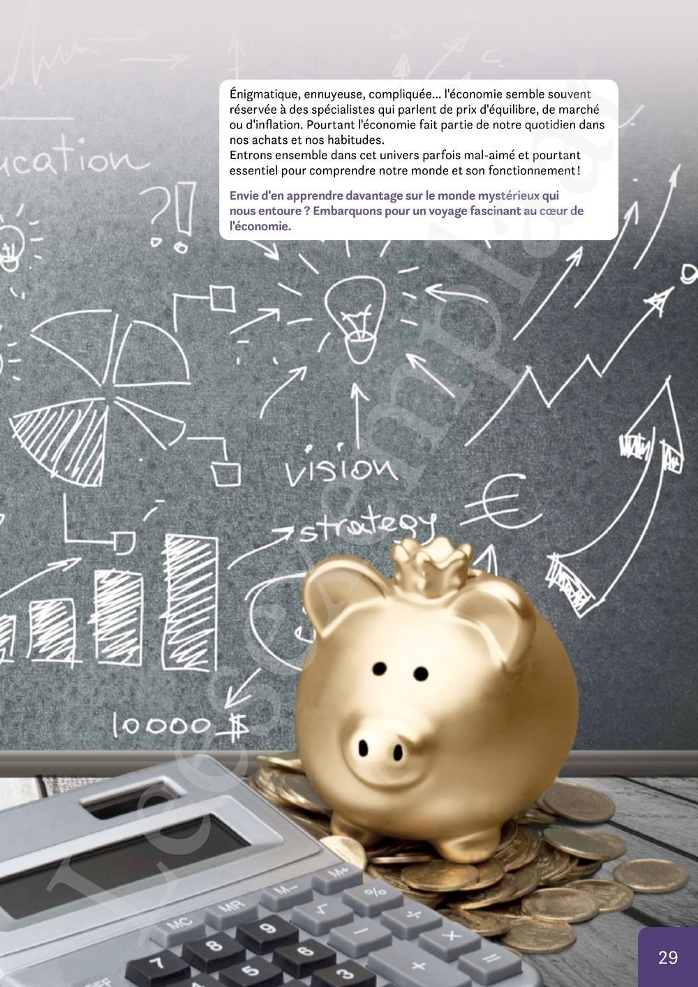 Preview: Nomade 1 FHGES Manuel (Pelckmans Portail inclus)