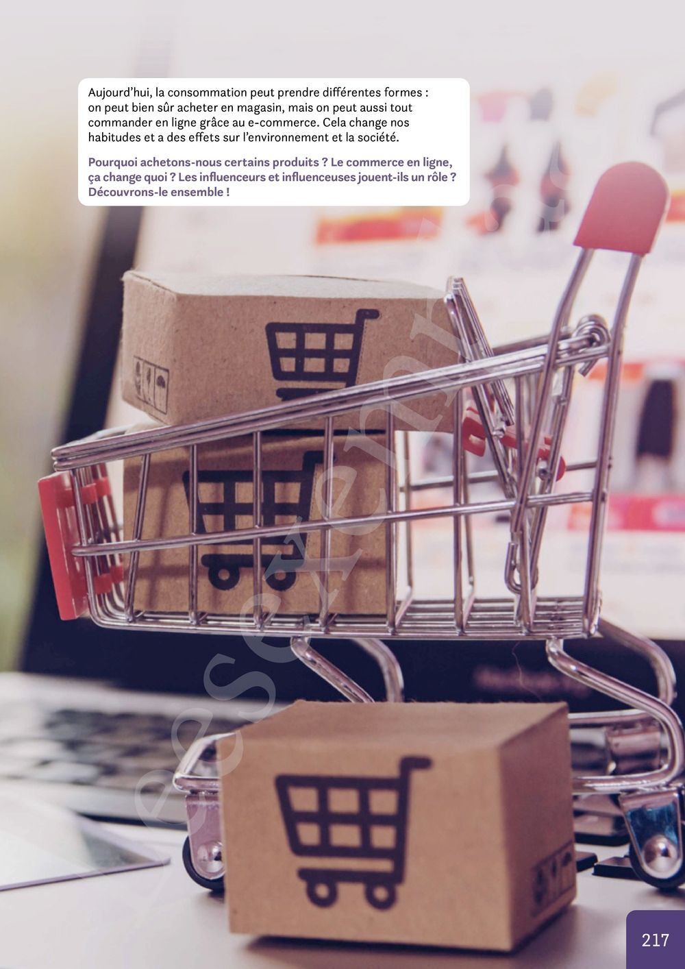 Preview: Nomade 1 FHGES Manuel (Pelckmans Portail inclus)