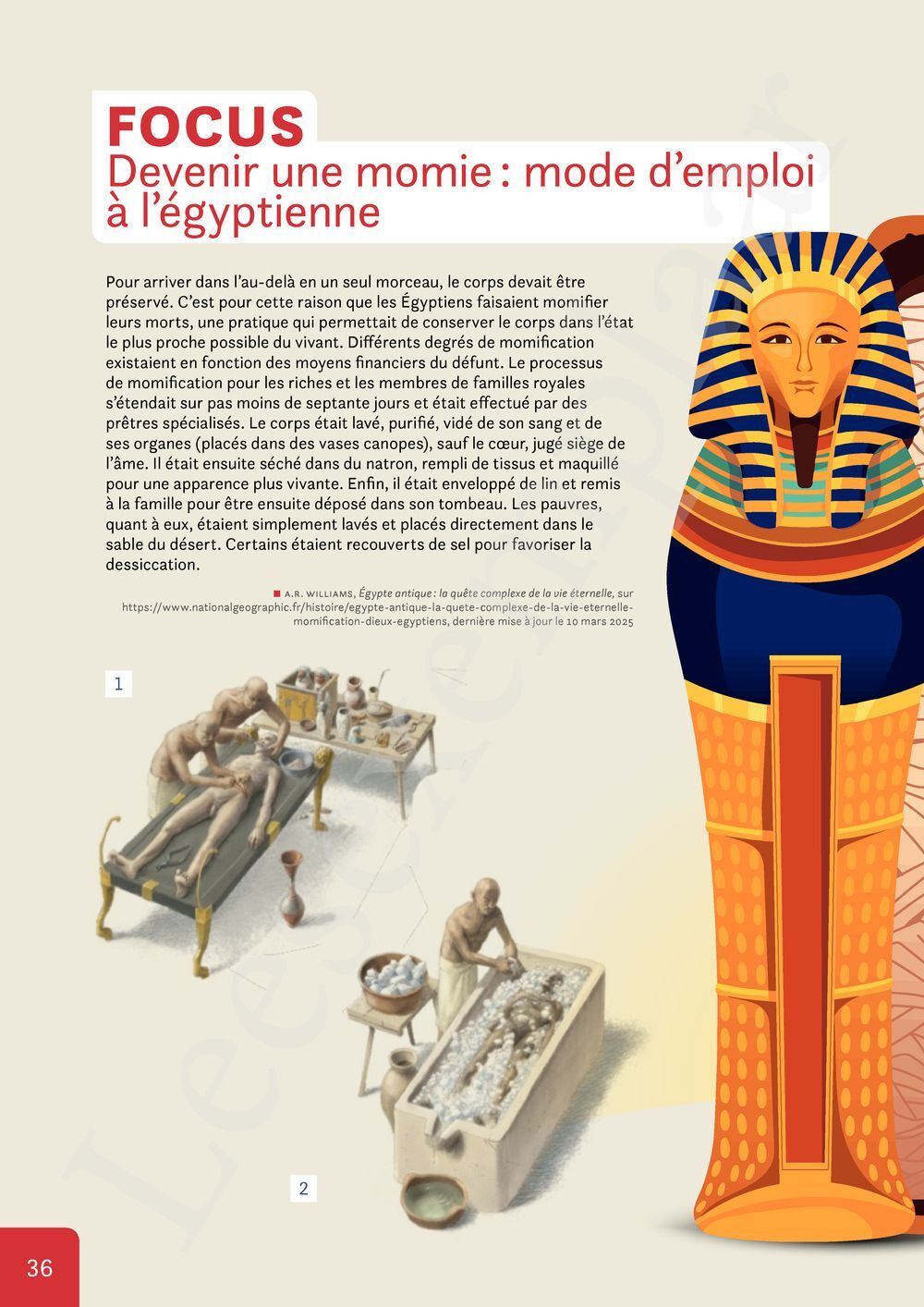 Preview: Nomade 1 FHGES Manuel (Pelckmans Portail inclus)