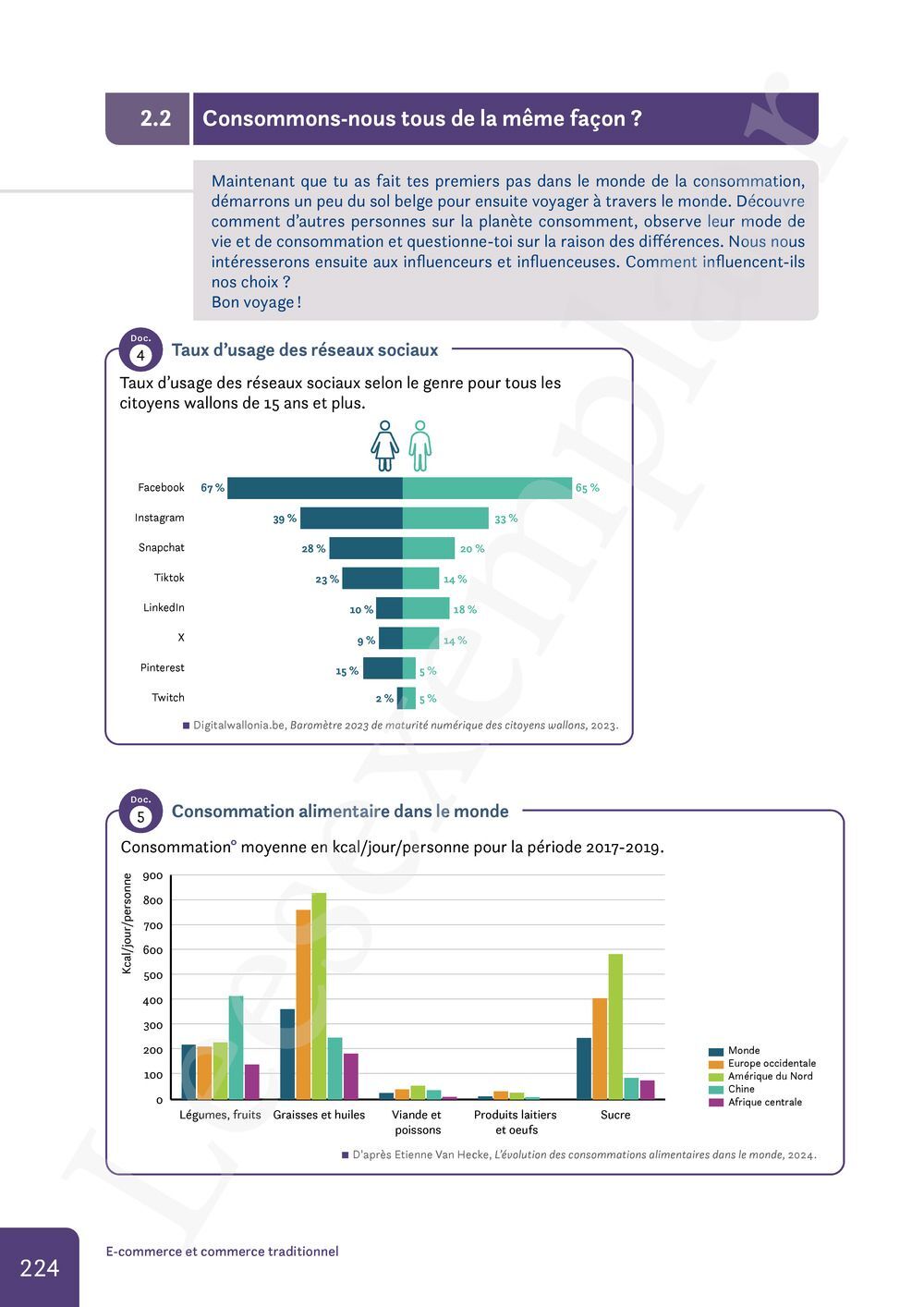 Preview: Nomade 1 FHGES Manuel (Pelckmans Portail inclus)