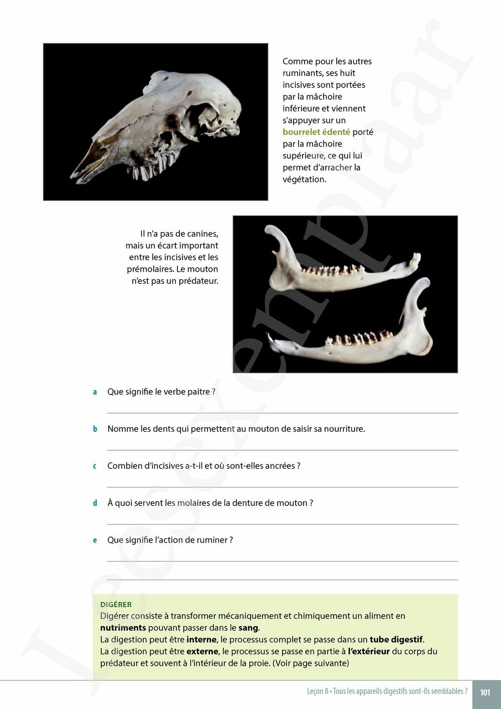 Preview: Explo Sciences 1 Livre de l'élève (Pelckmans Portail inclus)