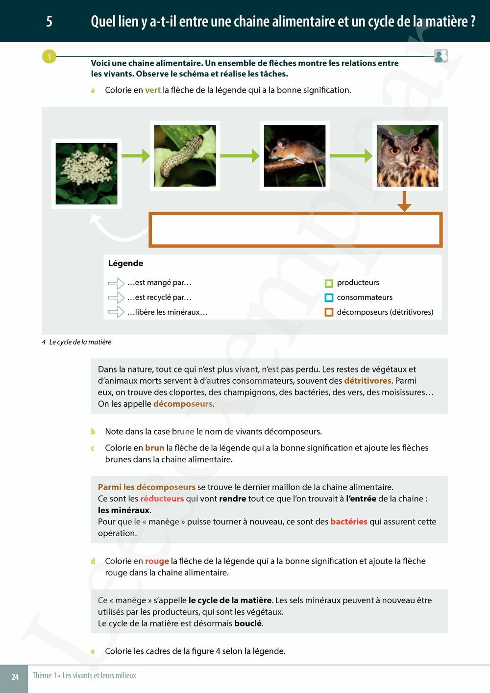 Preview: Explo Sciences 1 Livre de l'élève (Pelckmans Portail inclus)