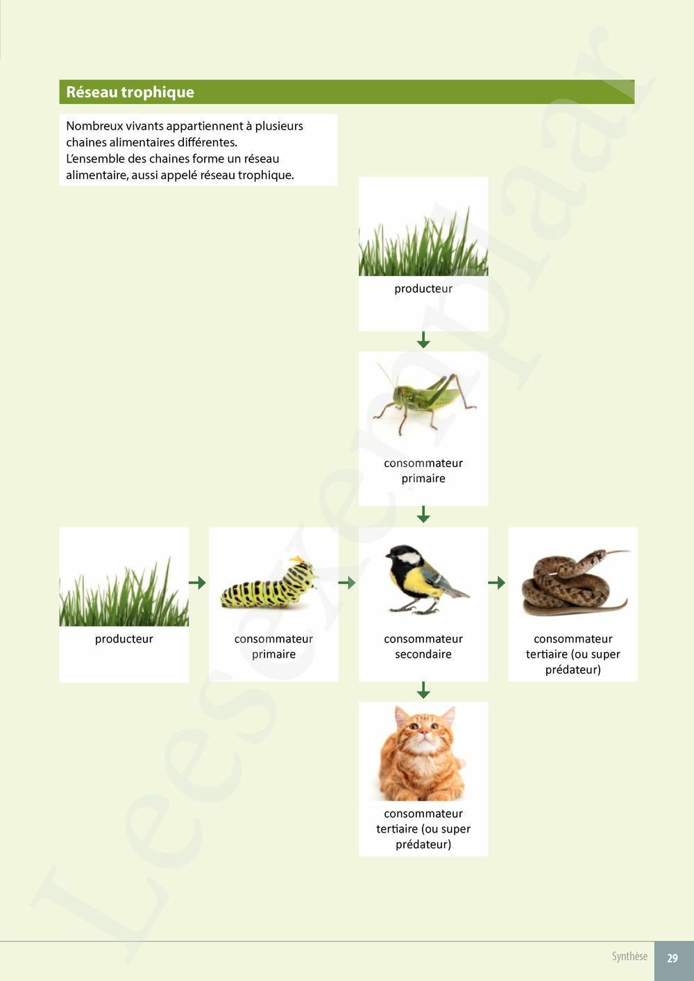 Preview: Explo Sciences 1 Livre de l'élève (Pelckmans Portail inclus)