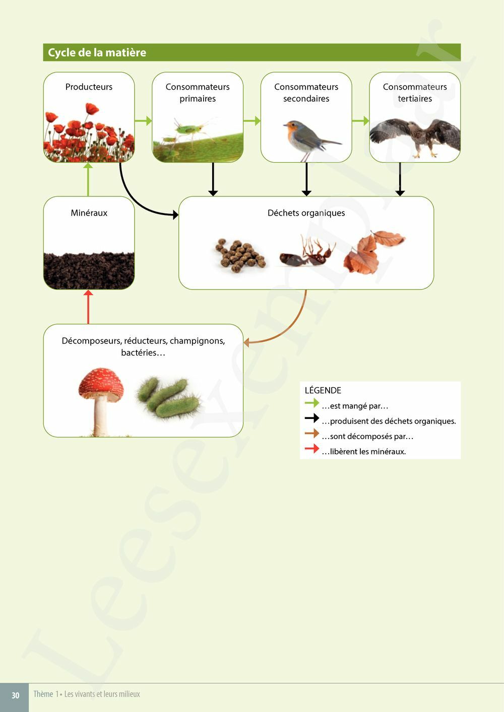 Preview: Explo Sciences 1 Livre de l'élève (Pelckmans Portail inclus)