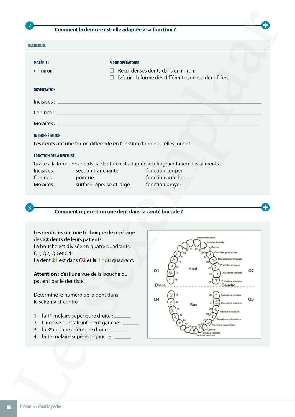 Preview: Explo Sciences 1 Livre de l'élève (Pelckmans Portail inclus)