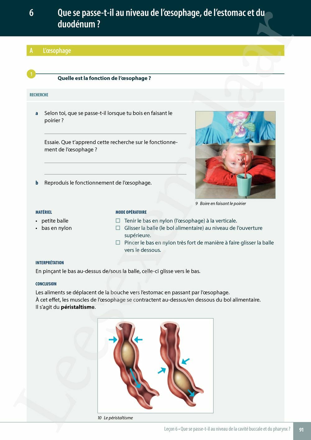 Preview: Explo Sciences 1 Livre de l'élève (Pelckmans Portail inclus)