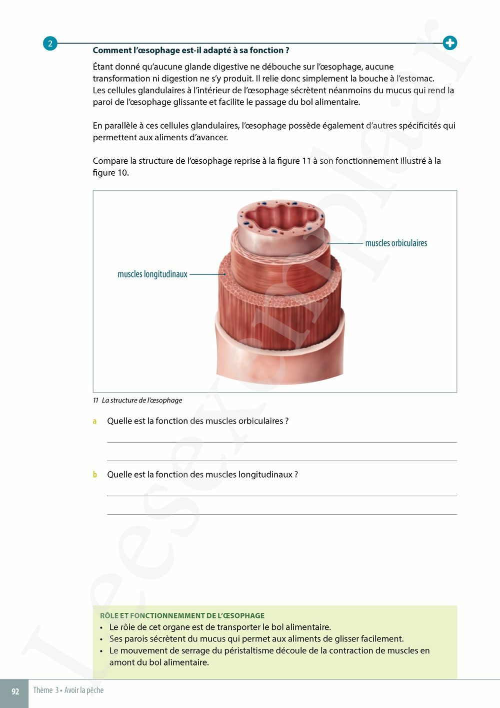 Preview: Explo Sciences 1 Livre de l'élève (Pelckmans Portail inclus)