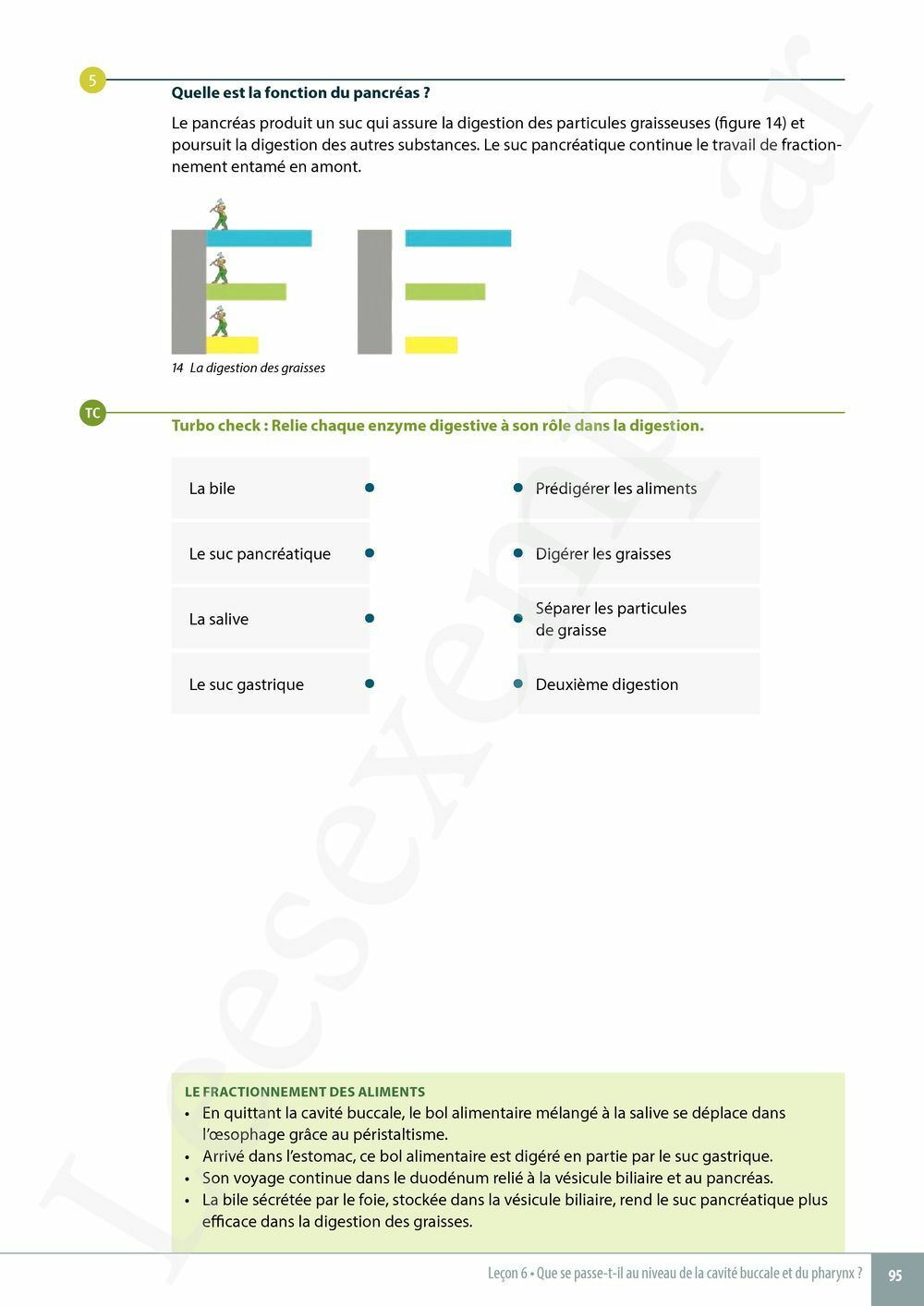 Preview: Explo Sciences 1 Livre de l'élève (Pelckmans Portail inclus)