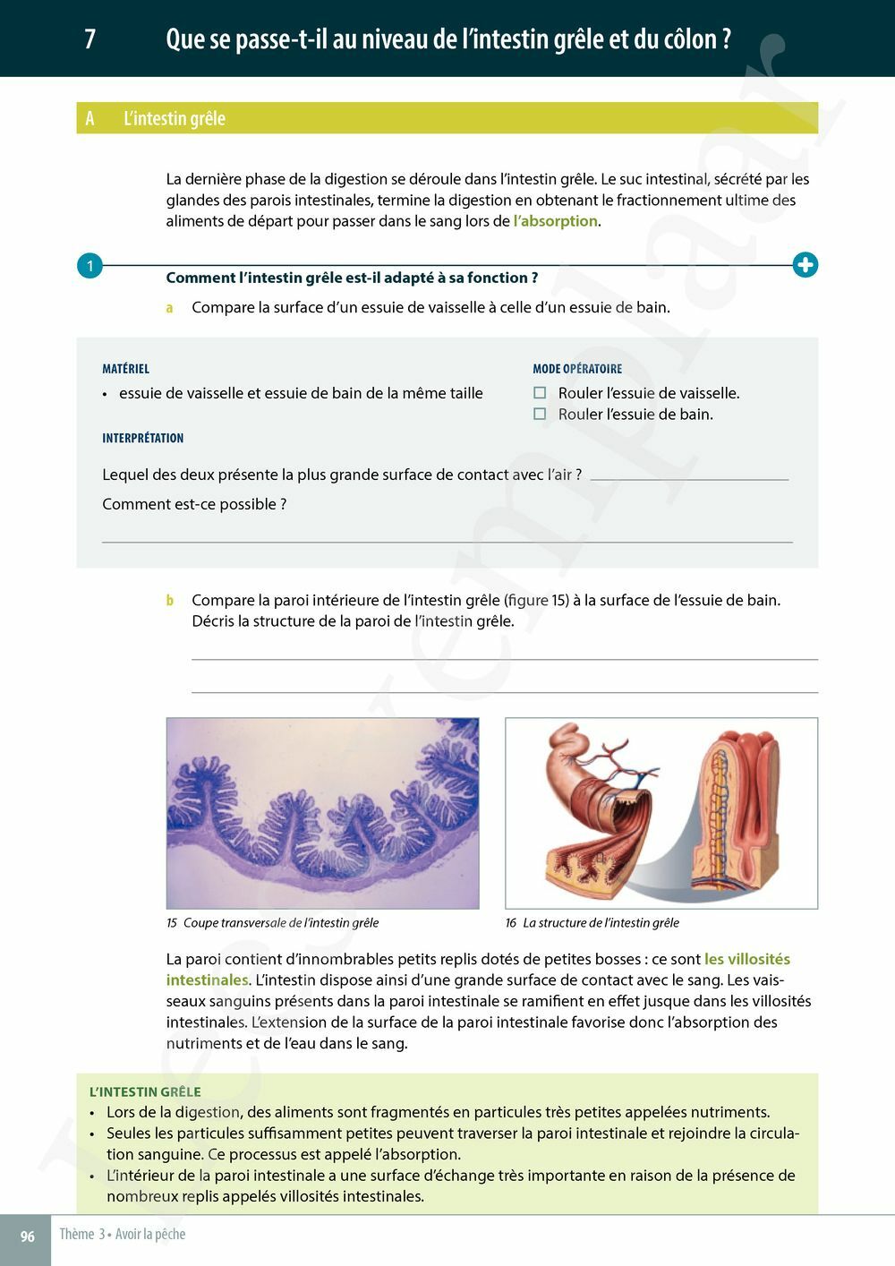 Preview: Explo Sciences 1 Livre de l'élève (Pelckmans Portail inclus)